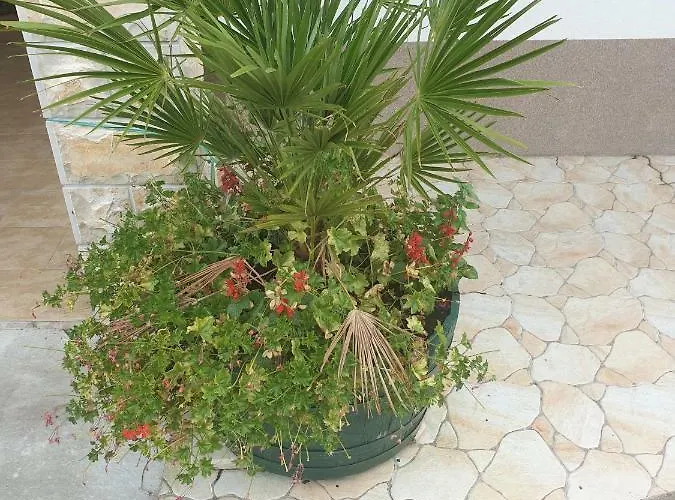 Ljubo Διαμέρισμα *