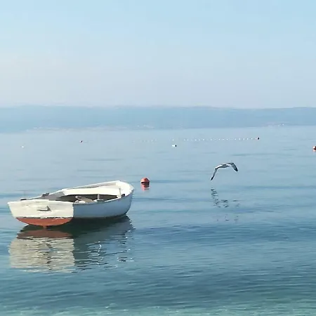 Ljubo Daire *